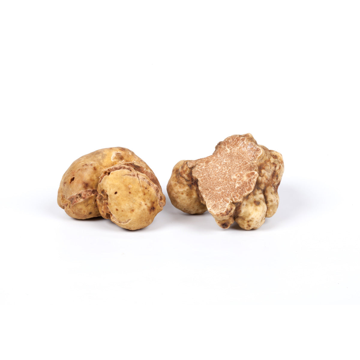 Wholesale Urbani Fresh White Truffle Small Size-1 OZ Bulk