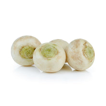 Wholesale BoxNCase White Turnips- Bulk