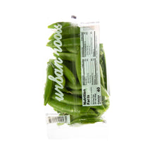 Wholesale Urban Roots Stringless Snap Peas 8 OZ- Bulk