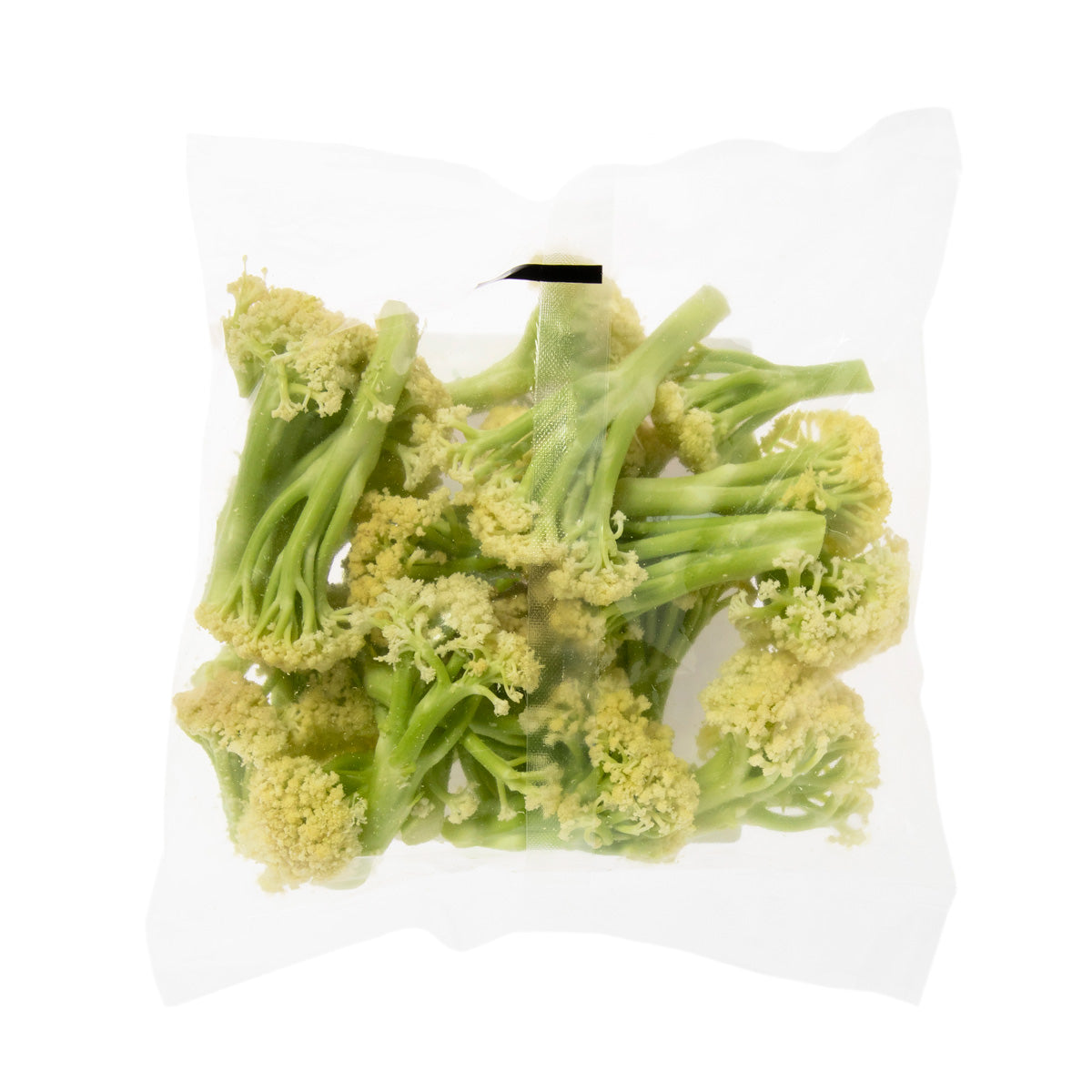 Wholesale Urban Roots Cauliflorini 12 OZ- Bulk