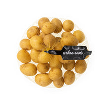 Wholesale Urban Roots Gold Pee Wee Potatoes 24 OZ-12ct Case Bulk