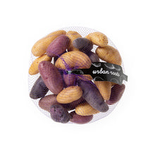 Urban Roots Confetti Fingerling Potatoes 28 OZ