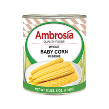 Wholesale Ambrosia Canned Whole Baby Corn #10- Bulk