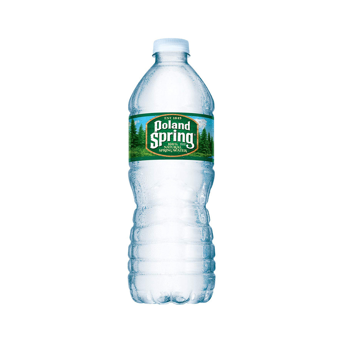 Wholesale Poland Spring Water 16.9 OZ- Bulk
