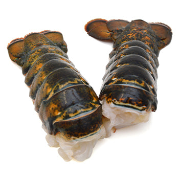 Rockport 5-6 Oz Lobster Tail 10lb