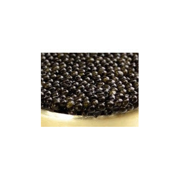 Sasanian Premium Sturgeon Caviar 1oz