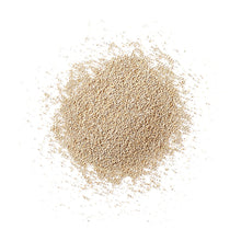 Wholesale Fleishmann'S Active Dry Yeast- Bulk