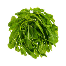 Wholesale Gilbertie'S Organic Arugula- Bulk