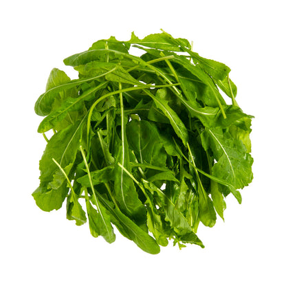 Wholesale Gilbertie'S Organic Arugula- Bulk