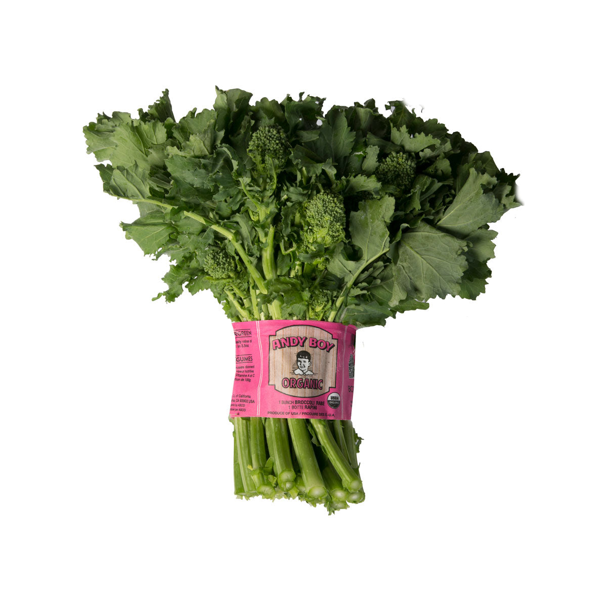 Wholesale D'Arrigo Organic Andy Boy Broccoli Rabe-26 CT Bulk