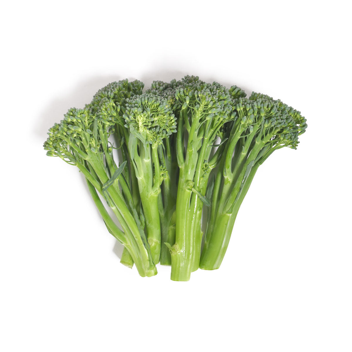 Wholesale Mann Packing Organic Broccolini-18 CT Bulk