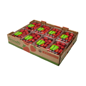 Wholesale Driscoll'S Organic Strawberries 1 LB-8ct Case Bulk