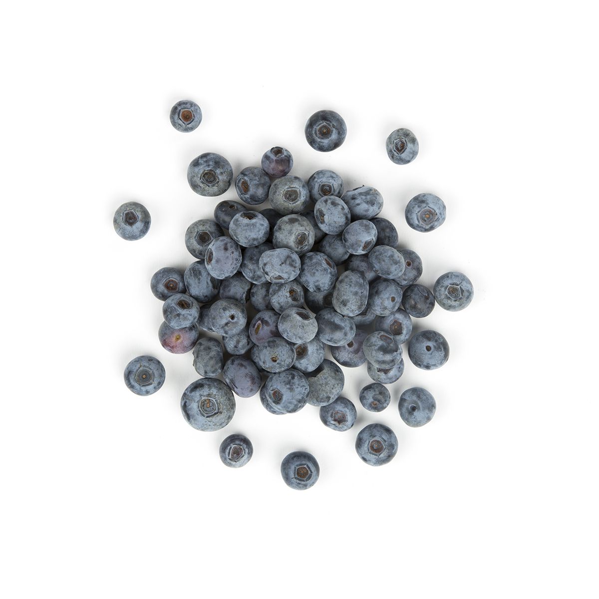 Wholesale Driscoll'S Organic Blueberries 6 OZ- Bulk