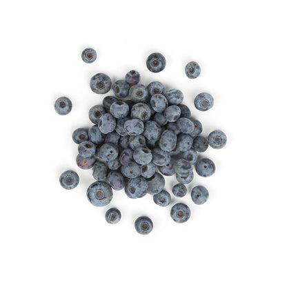 Wholesale Driscoll'S Organic Blueberries 6 OZ- Bulk