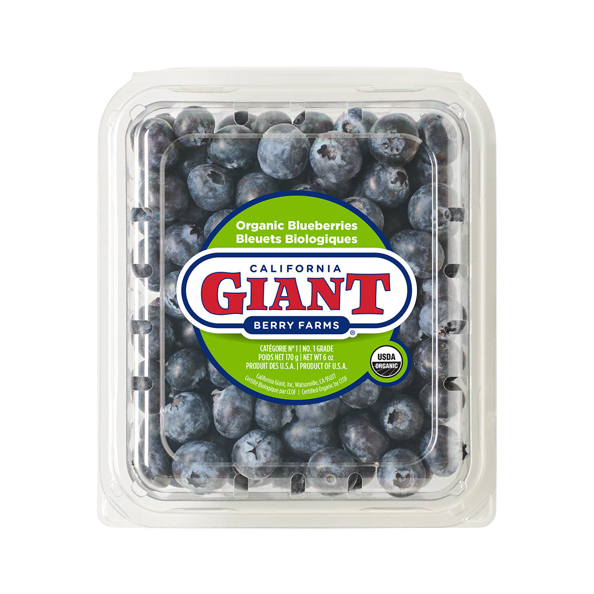 California Giant Berry Farms Organic Blueberries 6 Oz Box