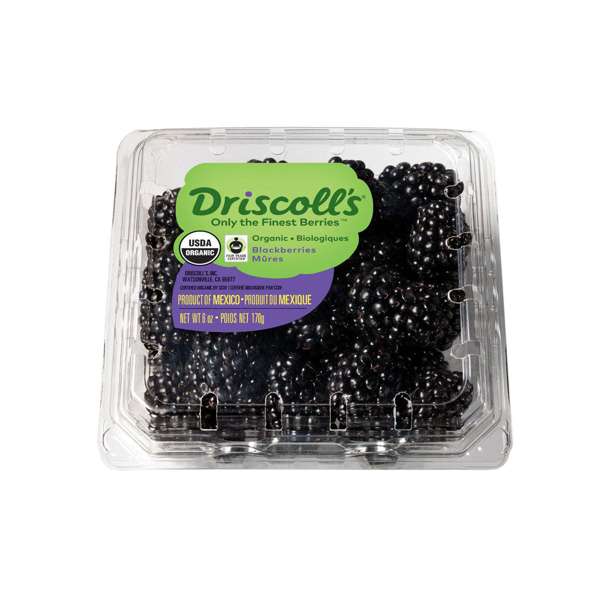 Wholesale Driscoll'S Organic Blackberries 6 OZ- Bulk