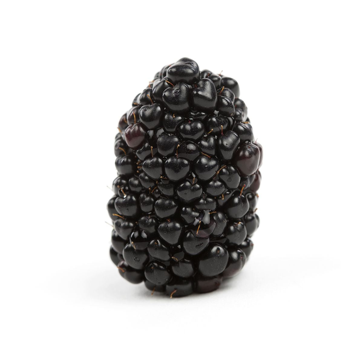 Driscoll'S Organic Blackberries 6 OZ