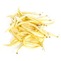 Wholesale Norwich Meadows Farm Organic Yellow Wax Beans- Bulk