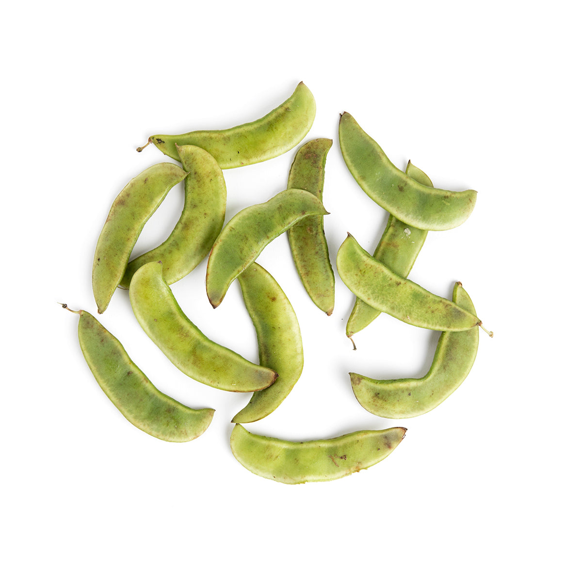 Wholesale Norwich Meadows Farm Organic Green Lima Beans-5 LB Bulk