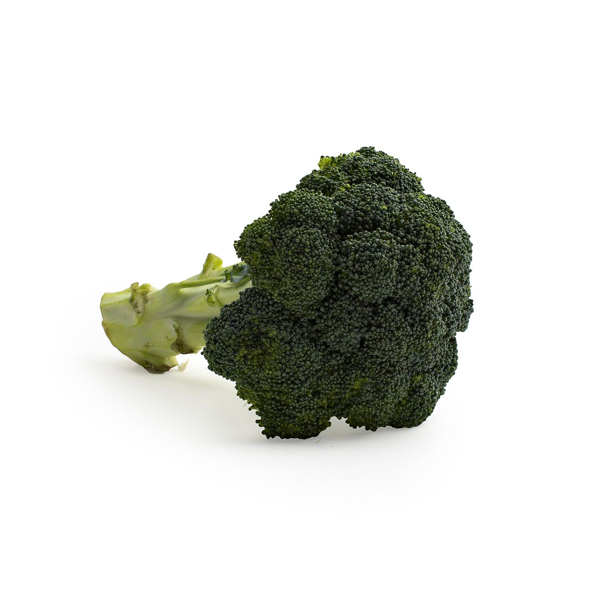 Wholesale BoxNCase Organic Broccoli-14 Ct Case Bulk