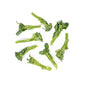 Wholesale Taproot Farm Organic Sprouting Broccoli- Bulk