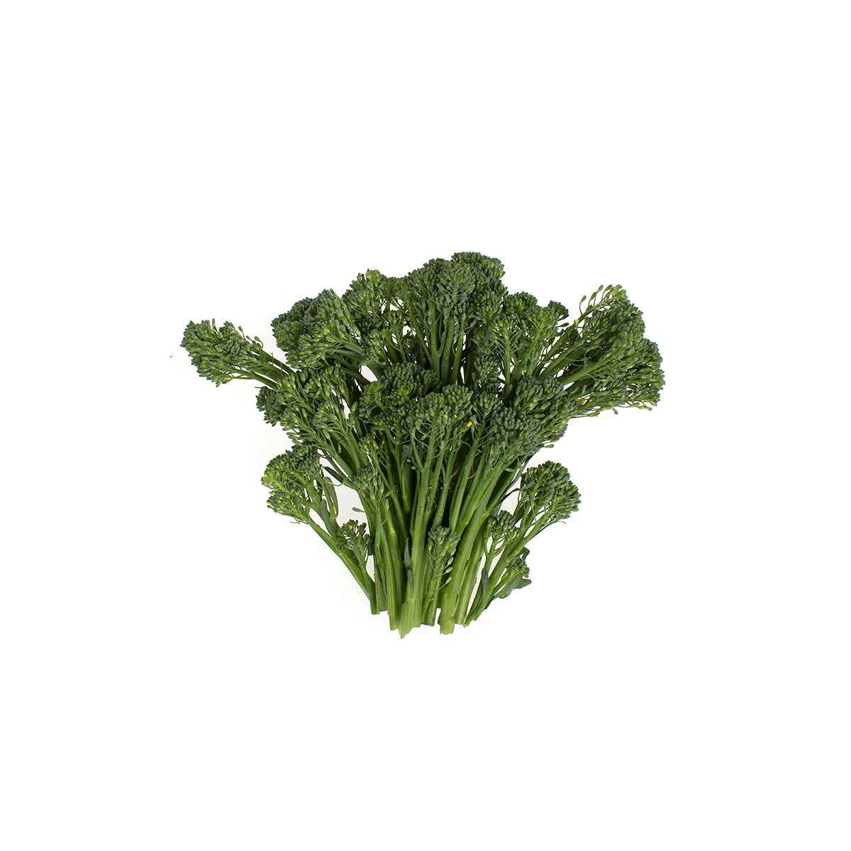 Wholesale BoxNCase Organic Baby Broccolette-18 CT Bulk