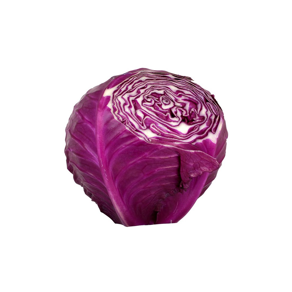 Wholesale BoxNCase Organic Red Cabbage- Bulk