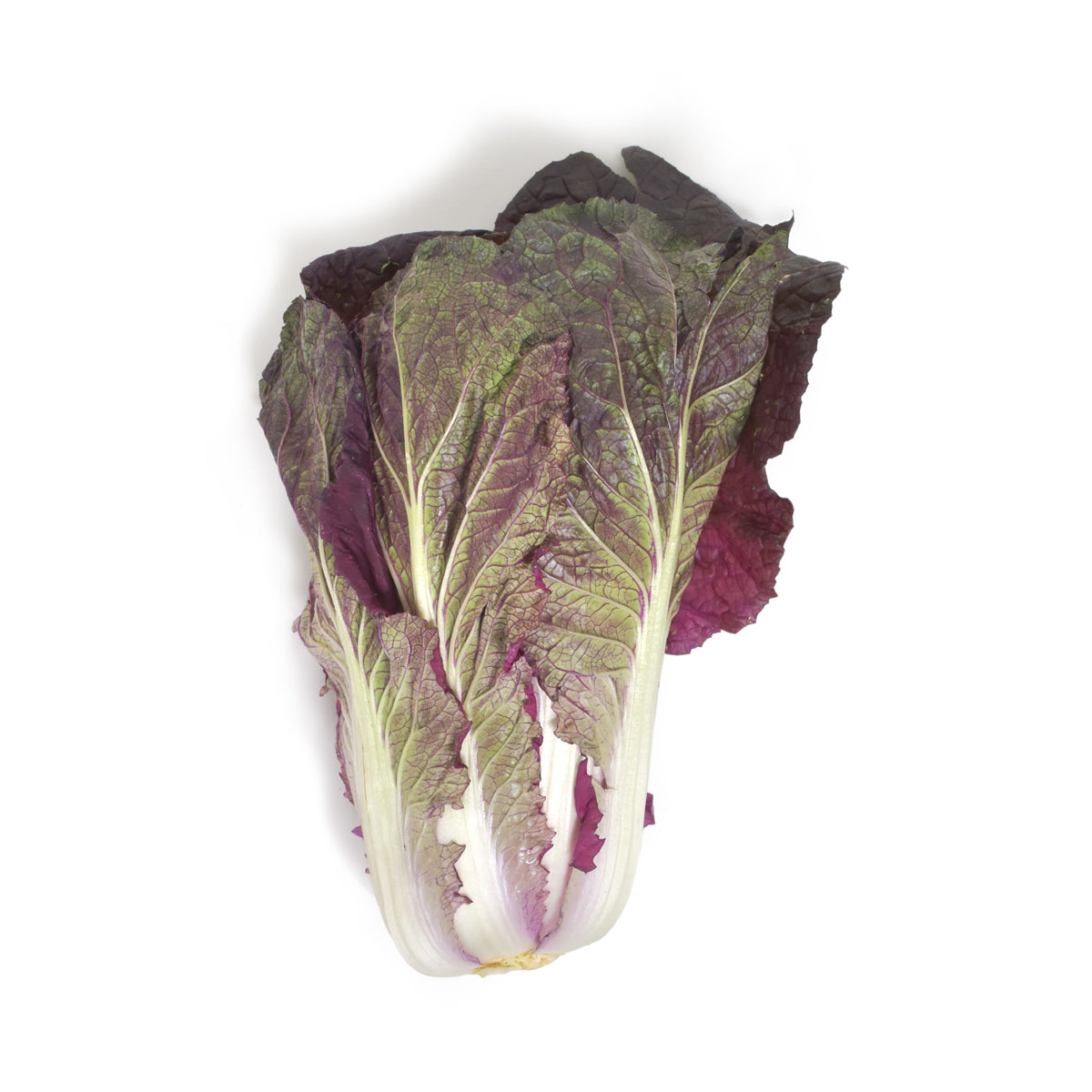 BoxNCase Organic Red Dragon Napa Cabbage 12 ct