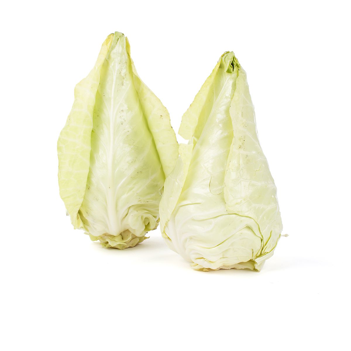 Wholesale Norwich Meadows Farm Organic Caraflex Cabbage-25 LB Bulk