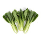 Wholesale Norwich Meadows Farm Organic Baby Pac Choi-5 LB Bulk
