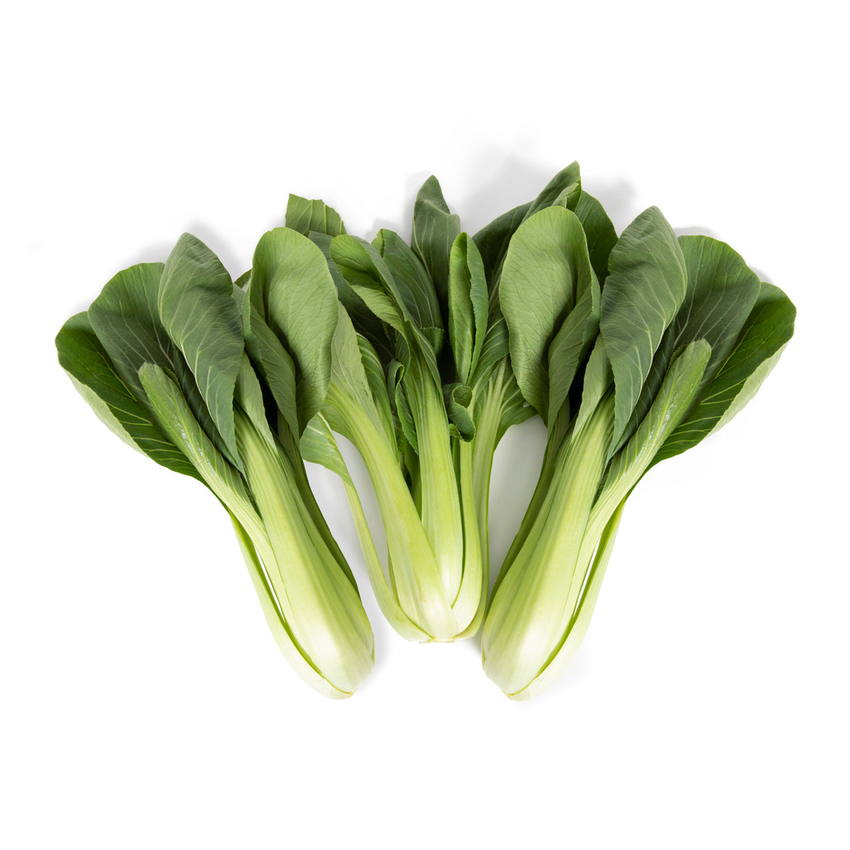 Wholesale Harris Teeter Hearts Of Romaine Lettuce 10oz Bag- Bulk