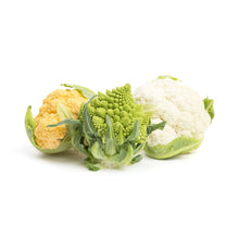 Wholesale Norwich Meadows Farm Organic Mixed Color Cauliflower- Bulk