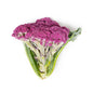 Wholesale Norwich Meadows Farm Organic Purple Murasaki Fioretto Cauliflower- Bulk