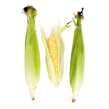 Norwich Meadows Farm Organic Bi-Color Corn