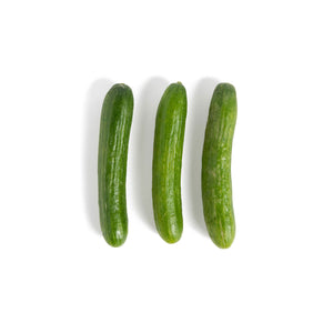 Wholesale Eli & Ali'S Organic Mini Cucumbers Pack 12 OZ-12ct Case Bulk