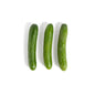 Wholesale Eli & Ali'S Organic Mini Cucumbers Pack 12 OZ- Bulk