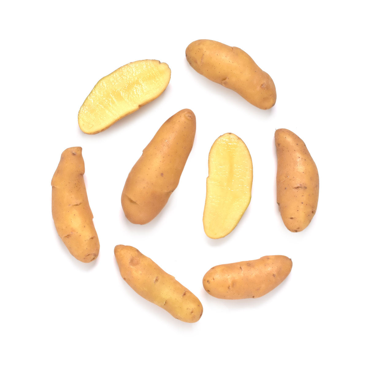 Wholesale Taproot Farm Organic Austrian Crescent Fingerling Potatoes- Bulk