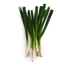 Wholesale Row 7 Seed Company Organic Row 7 Sweet Garleek- Bulk