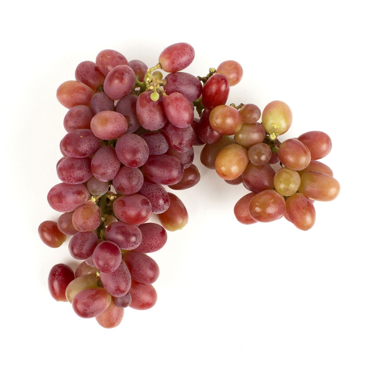 Wholesale BoxNCase Organic XL Red Grapes- Bulk