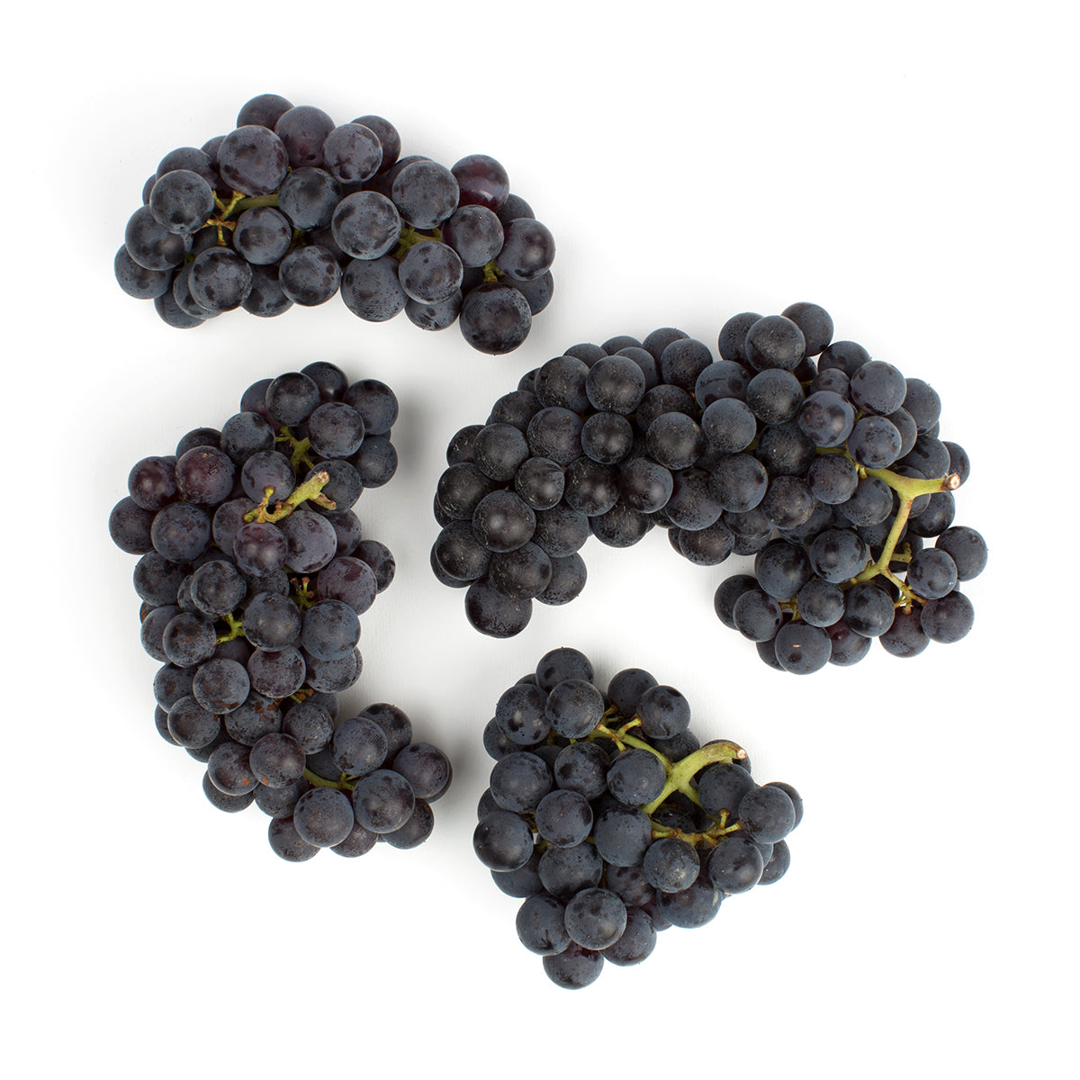 Wholesale Buzzard Crest Vineyards Organic Purple Mars Grapes-2 LB Bulk