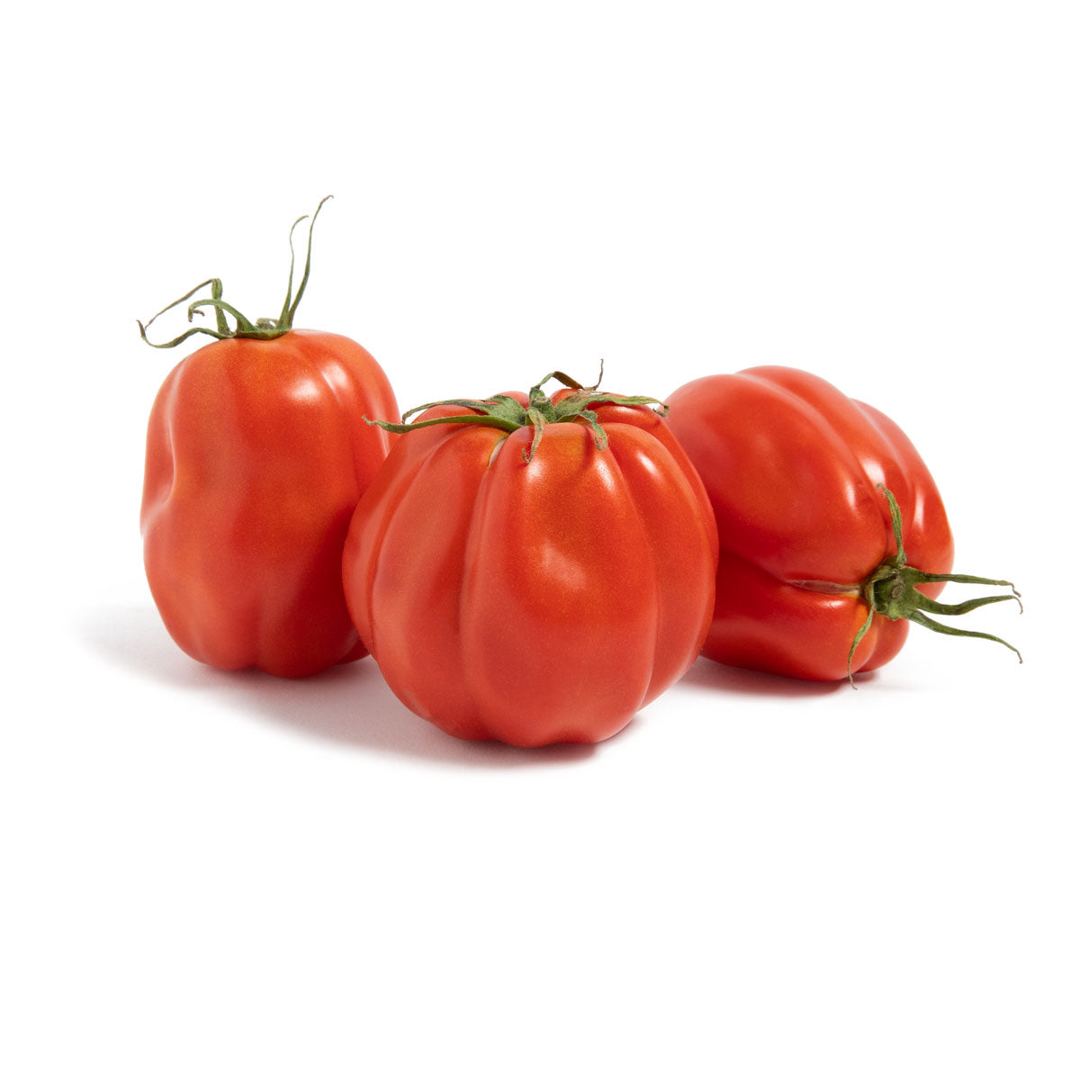 Wholesale Thanksgiving Farm Organic Pomodori Canestrino Tomatoes-10 LB Bulk