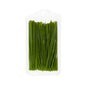 Wholesale Goodness Gardens Organic Chives 3/4 OZ-3 Pack Bulk