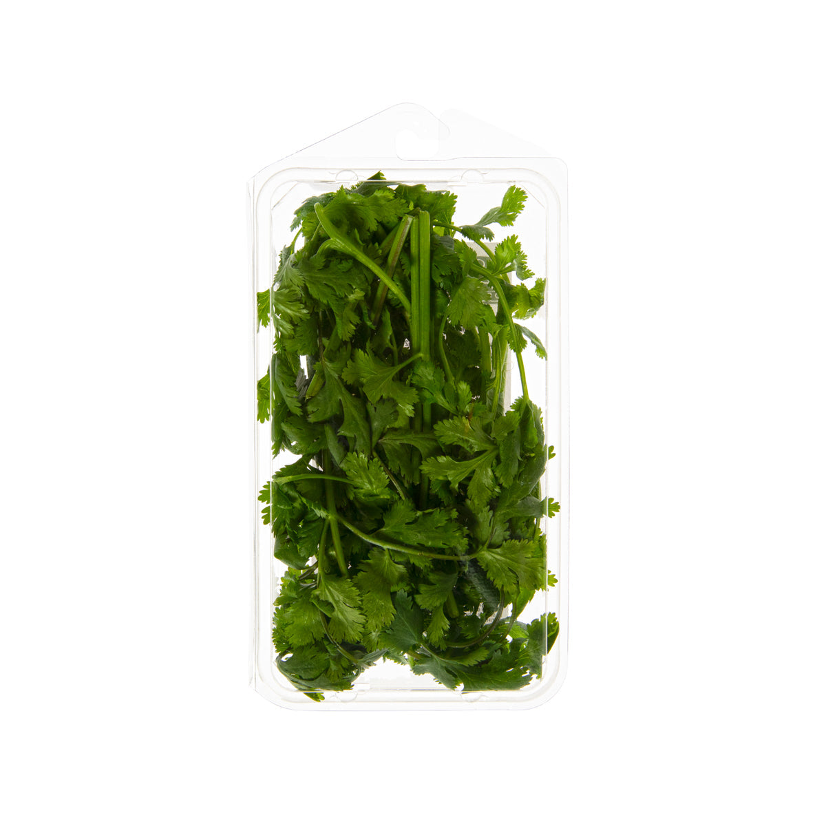 Wholesale Goodness Gardens Organic Cilantro 3/4 OZ-3 Pack Bulk