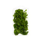Wholesale Goodness Gardens Organic Cilantro 3/4 OZ- Bulk