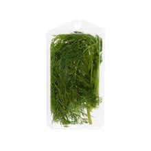 Wholesale Goodness Gardens Organic Dill 3/4 OZ- Bulk