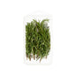 Wholesale Goodness Gardens Organic Rosemary 3/4 OZ- Bulk
