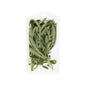 Wholesale Goodness Gardens Organic Sage 3/4 OZ-3 Pack Bulk