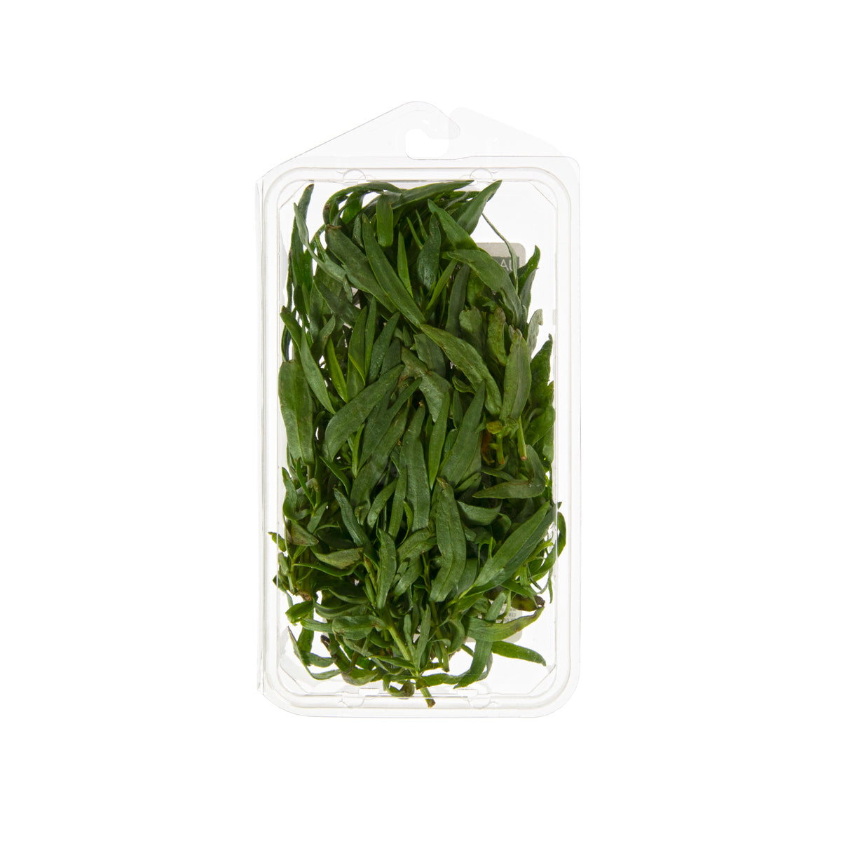 Wholesale Goodness Gardens Organic Tarragon 3/4 OZ- Bulk