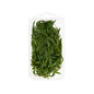 Wholesale Goodness Gardens Organic Tarragon 3/4 OZ- Bulk