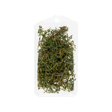Wholesale Goodness Gardens Organic Thyme 3/4 OZ- Bulk
